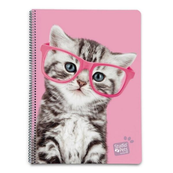Studio Pets - Notatnik / Notes A4 Kot w okularach